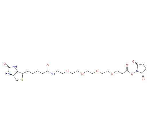 CAS:459426-22-3丨15-biotinlaMino-4,7,10,13-N-хидроксисукцинимидилов естер на диоксанонанова киселина